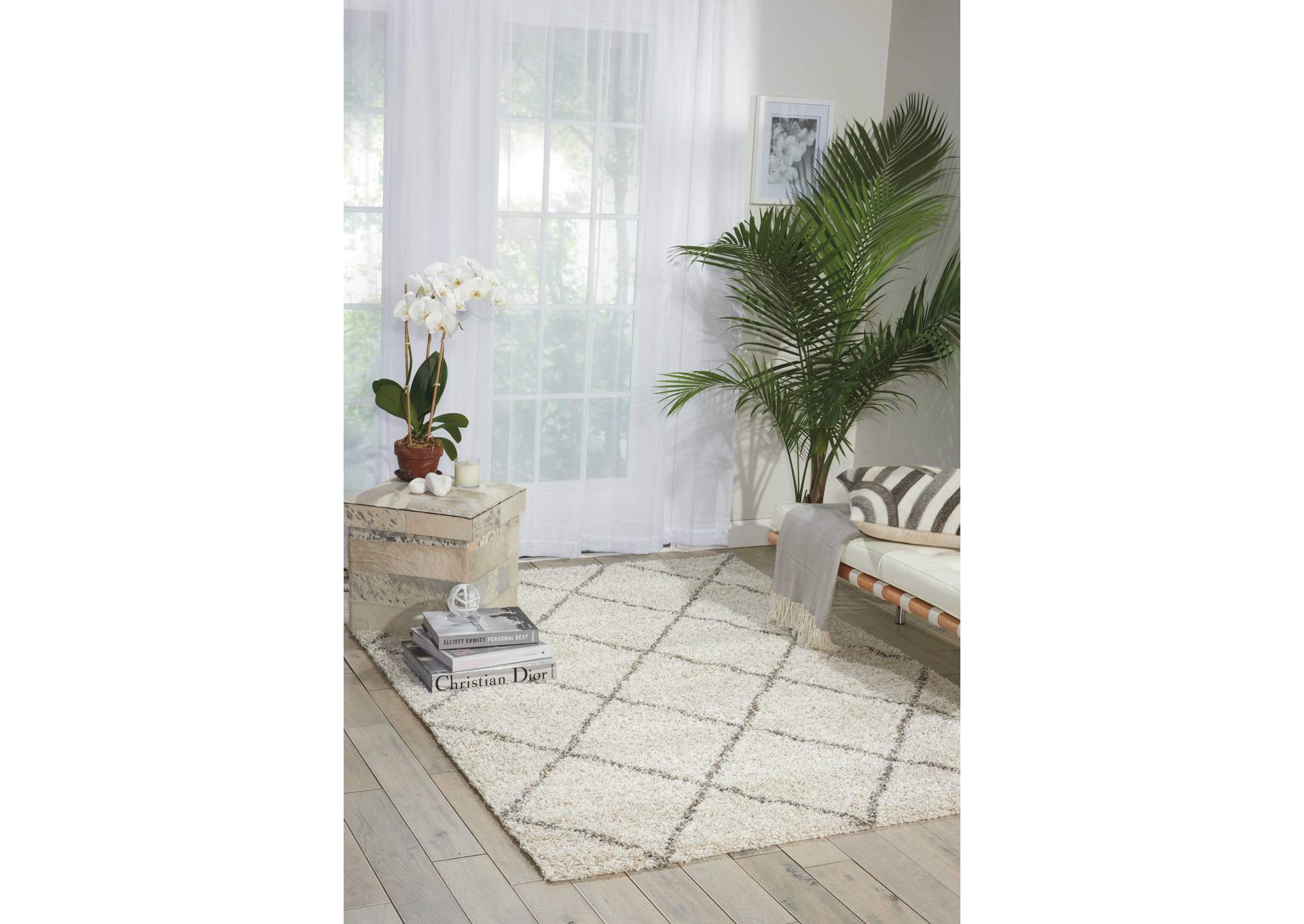 Nourison Brisbane BRI03 Beige 5'x7' Area Rug,Nourison