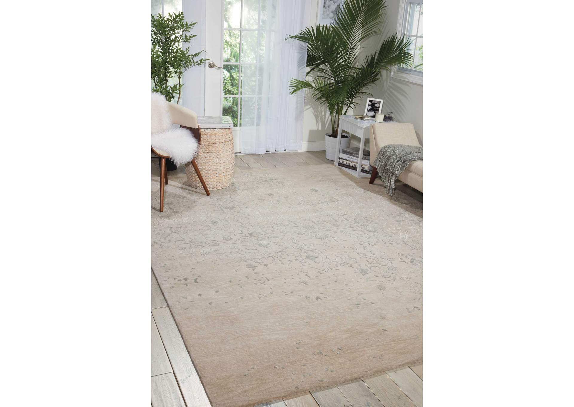 Nourison Opaline OPA06 Beige 4'x6' Area Rug,Nourison