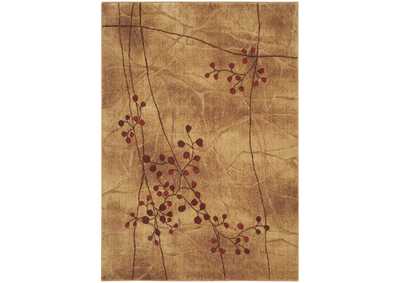 Image for Nourison Somerset ST74 Brown 5'x8' Area Rug