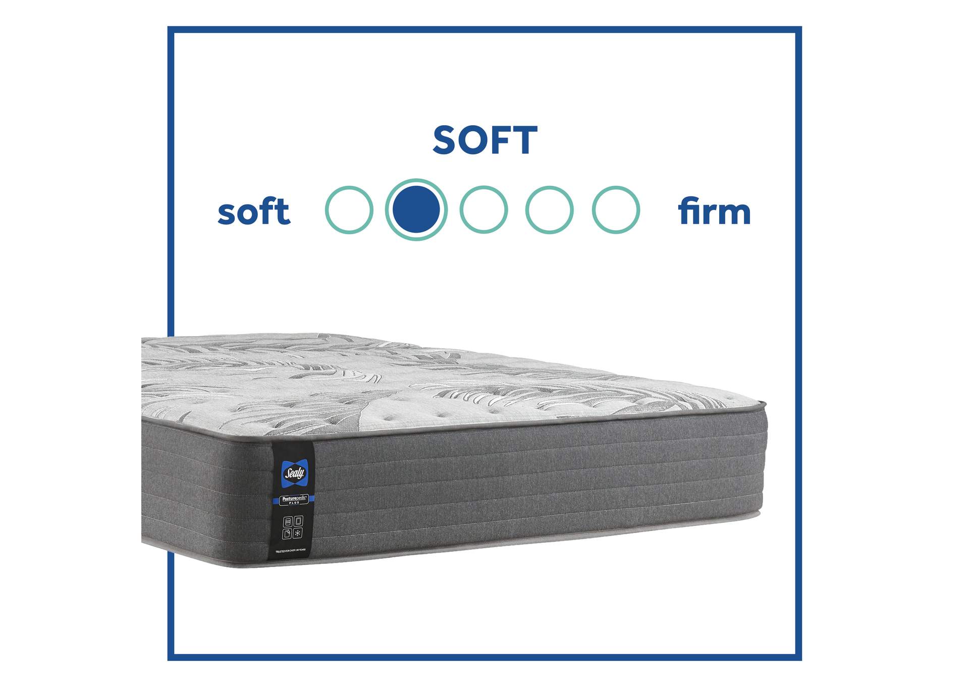 Testimony II Soft Tight Top Queen Mattress,Sealy