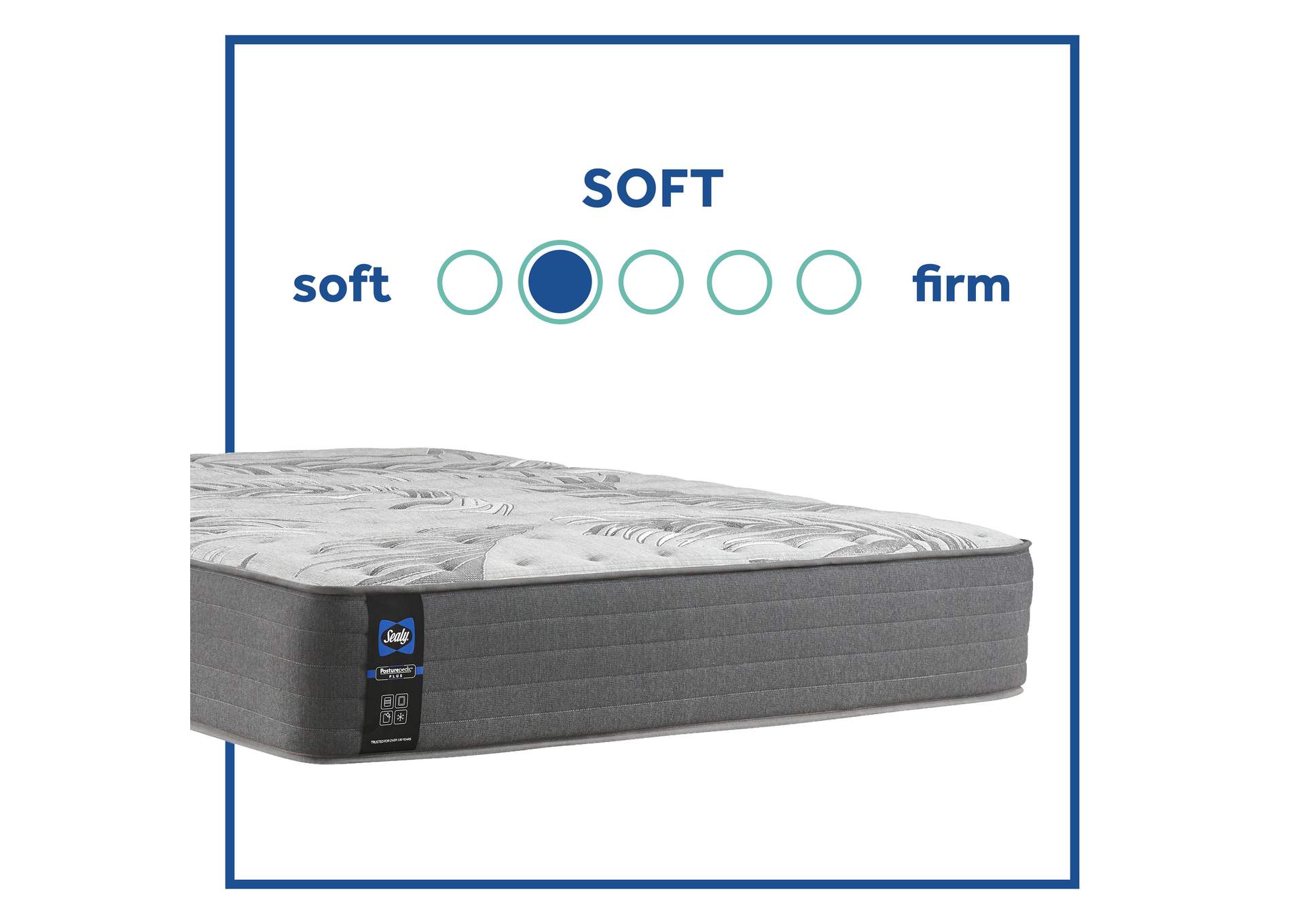 Testimony II Soft Tight Top Twin XL Mattress,Sealy