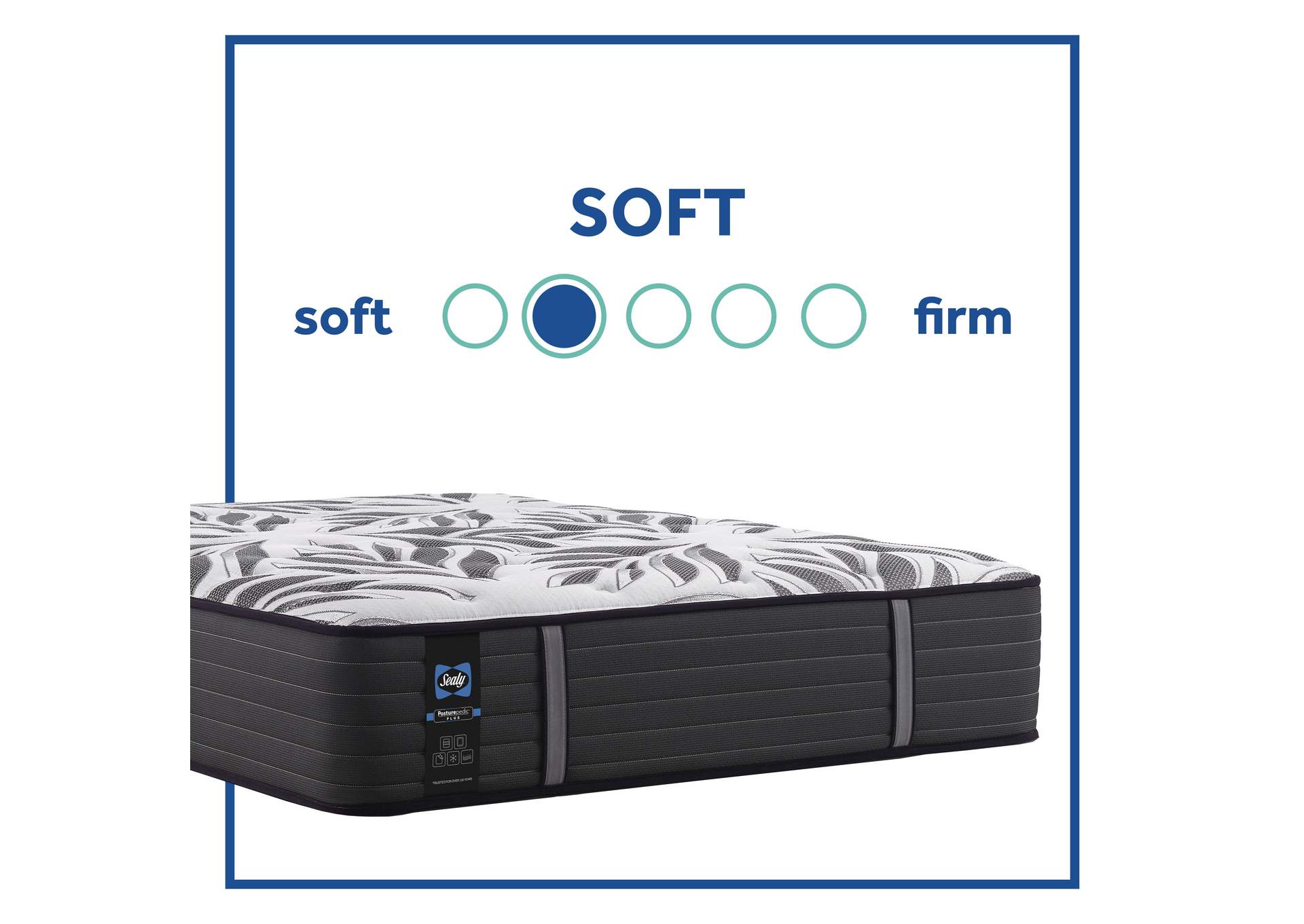 Victorious Soft Tight Top Queen Mattress,Sealy