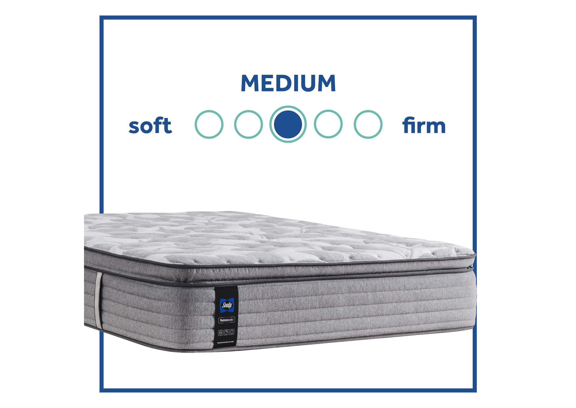 Dantley Medium Euro Pillow Top Queen Mattress,Sealy