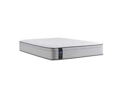 Diggens Firm Faux Euro Top Cal King Mattress