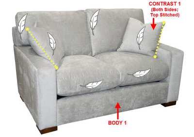 Image for Performance Loveseat w/ 2 Pillows