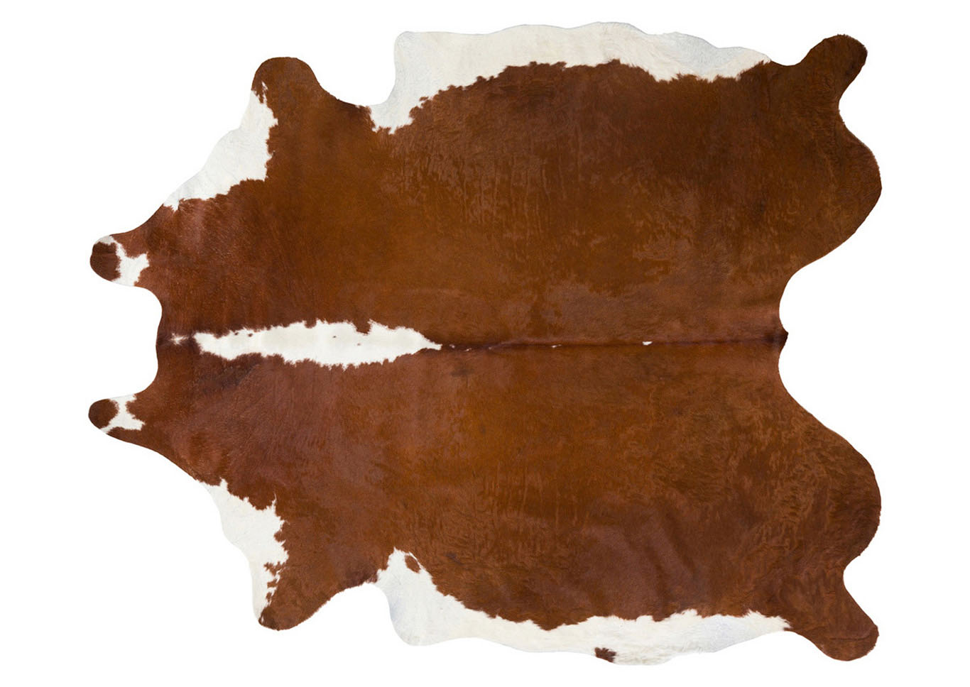 Abington Brown Area Rug,Surya