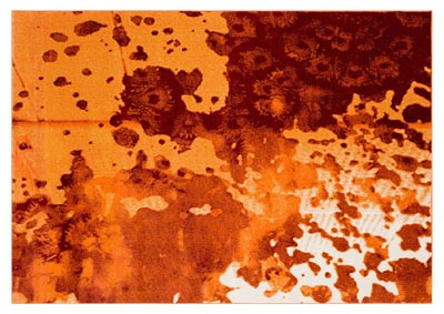 Image for Aberdine Orange Area Rug