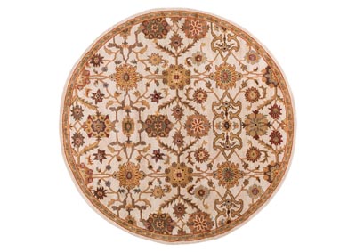 Image for Middleton Multi-Colored Area Rug
