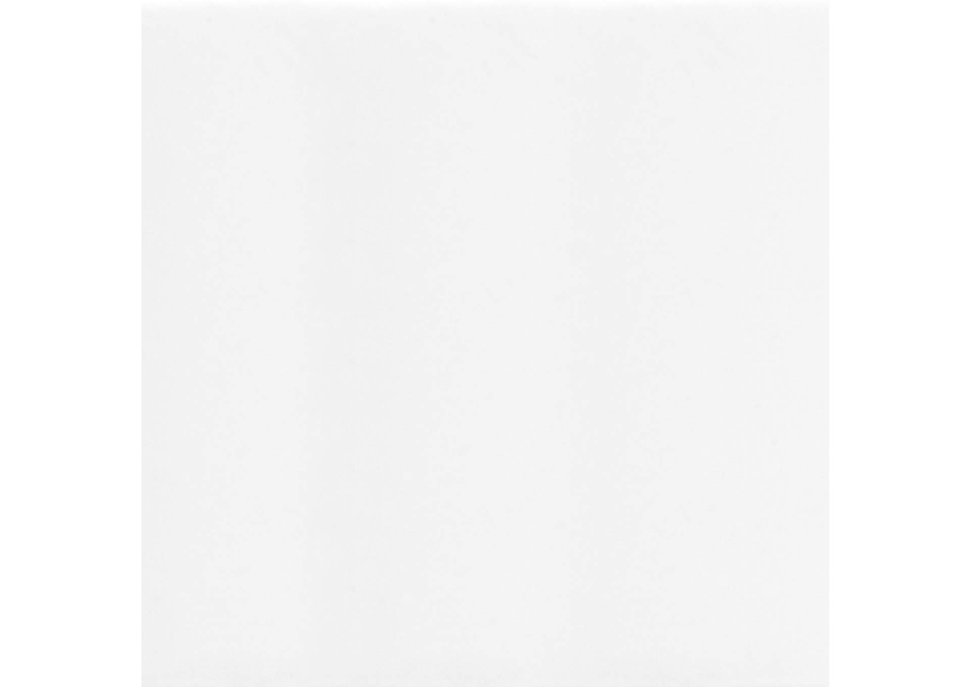 Delfin Dining Chair (Set Of 2) White,Zuo