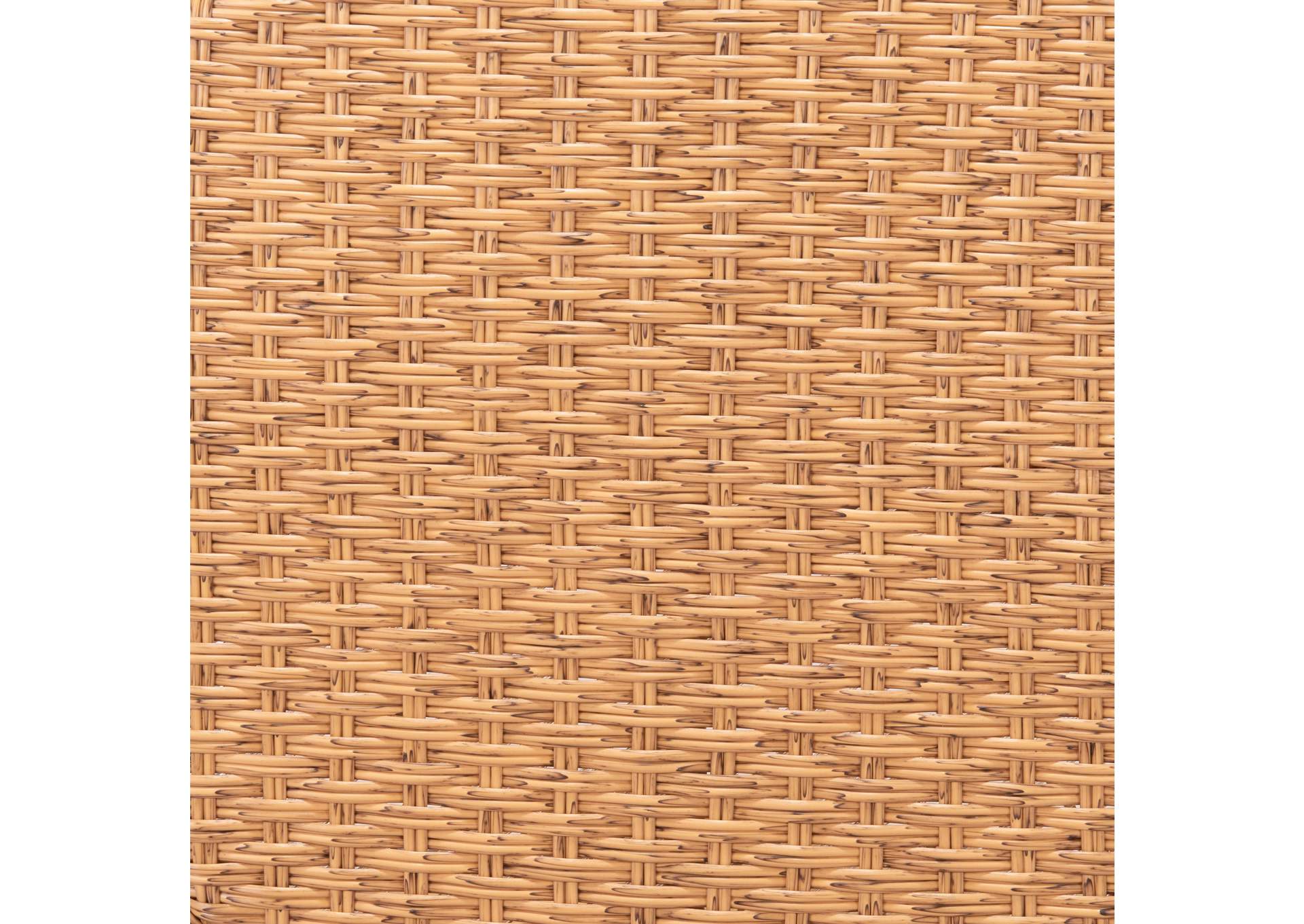 Darce Accent Chair Beige & Natural,Zuo