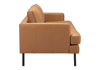 Thumb Image1