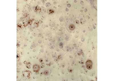 Thumb Image5
