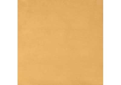 Thumb Image5