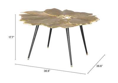 Thumb Image8