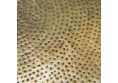 Thumb Image5